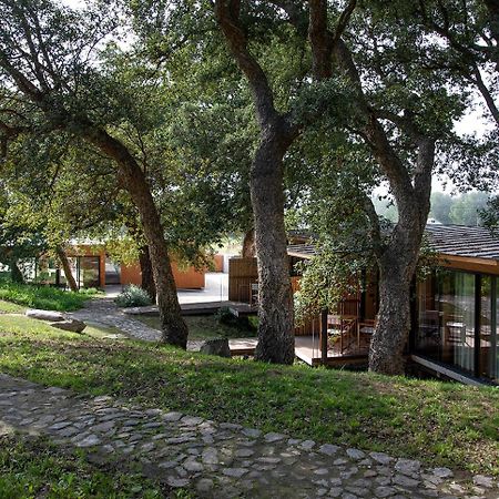 Wood Mood Lodges Cristelo  Exterior foto